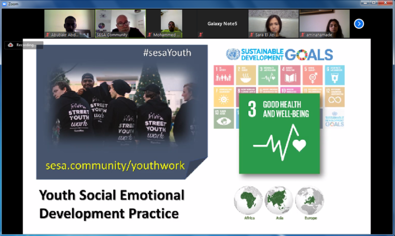 Social and Emotional Development Skills for Youth Workers Course